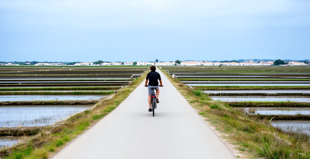 Cyclist on flat path between salt marshes on Île de Ré